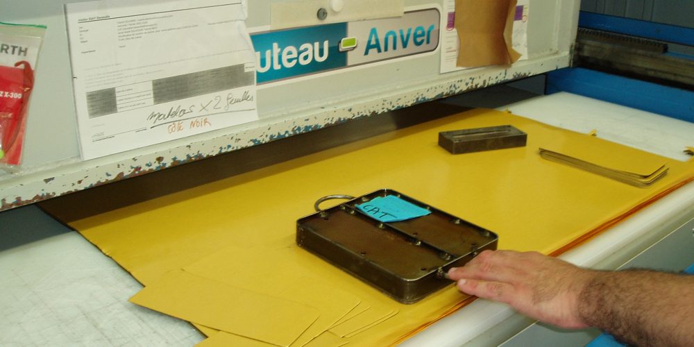 ESAT DENEUILLE DANS L’ALLIER EN AUVERGNE